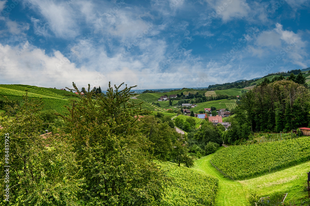 Obraz premium Sasbachwalden is a municipality in the district of Ortenau, Baden-Württemberg, Germany. It is located on the western slope of the Hornisgrinde mountain.