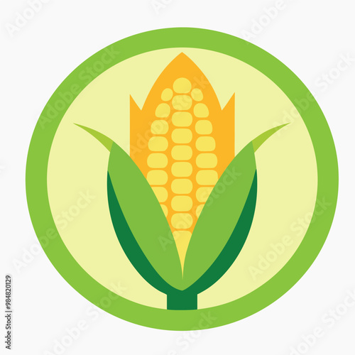 Adobe Illustratororn hand drawn vector illustration set. Isolated Vegetable engraved style object Artwork