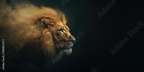 Portrait of a lion on a dark background. Wild animal. Copy space. photo