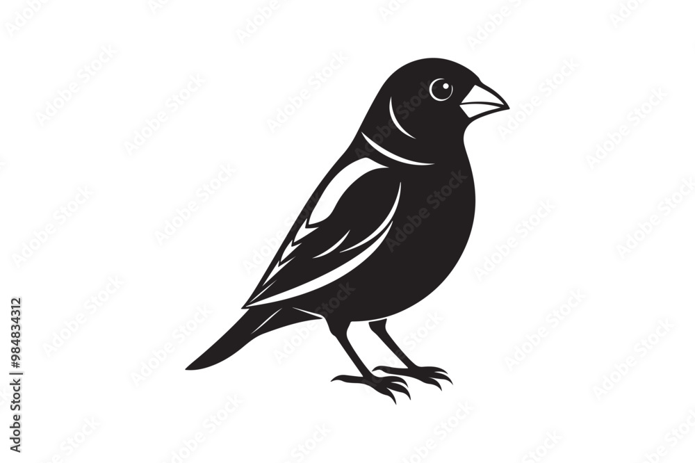 Finch bird silhouette vector illustration