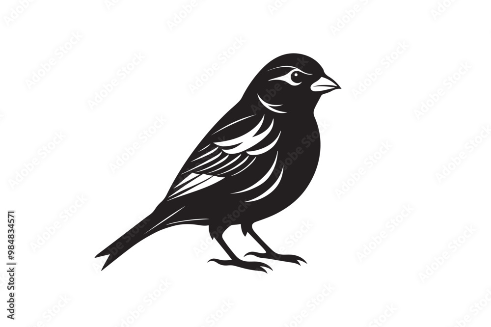 Finch bird silhouette vector illustration Finch bird silhouette vector illustration
