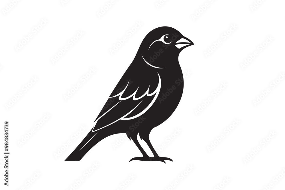 Finch bird silhouette vector illustration Finch bird silhouette vector illustration