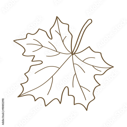 Hand drawn brown maple leaf line art vector illustration