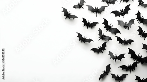 birds in the fores with white baground 