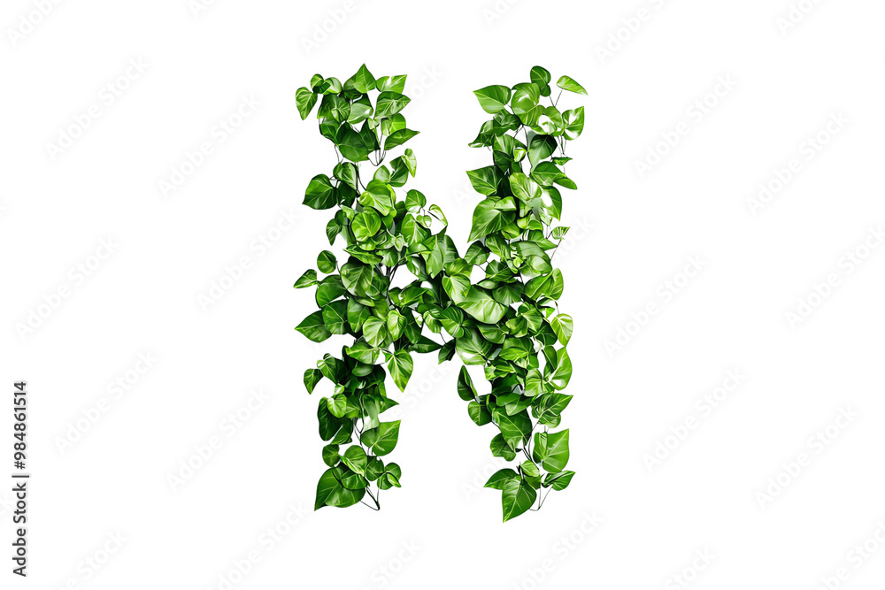 Letter N with Green Leaves and Botanical Typography, Nature-Inspired Alphabet Design on Transparent Background, Perfect for Eco-Friendly and Decorative Themes Letter N with Green Leaves and Botanical Typography, Nature-Inspired Alphabet Design on Transparent Background, Perfect for Eco-Friendly and Decorative Themes