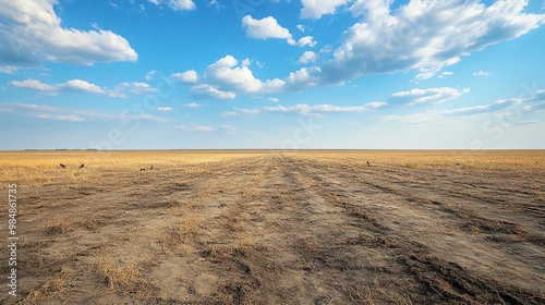 Vast barren landscape under a bright blue sky with scattered clouds. Dry and cracked earth stretches to the horizon.