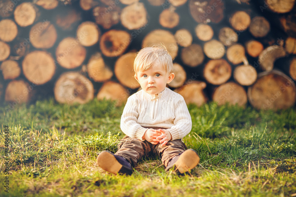 Cute little boy sitting on the grass in front of the firewood background and looking at camera Cute little boy sitting on the grass in front of the firewood background and looking at camera