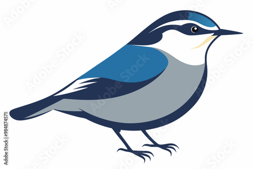 Nuthatch birds silhouette vector illustration on a white background 