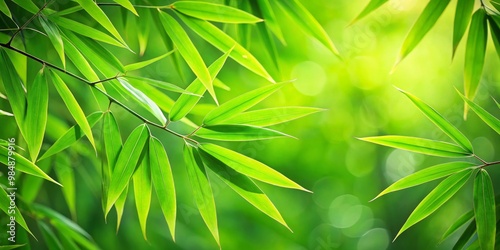 Close-up of Green Bamboo Le...