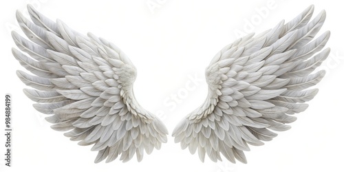 White Feathered Wings Against White Background, Isolated, Angel Wings, Feathers, White, Bird