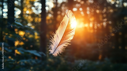 A lone feather drifting through a sunlit fores photo