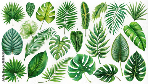 Tropical leaves in various shapes and sizes create vibrant and lush atmosphere, showcasing beauty of natures greenery. This collection features detailed illustrations of palm, fern, and monstera leave