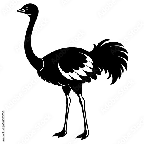 ostrich silhouette vector illustration