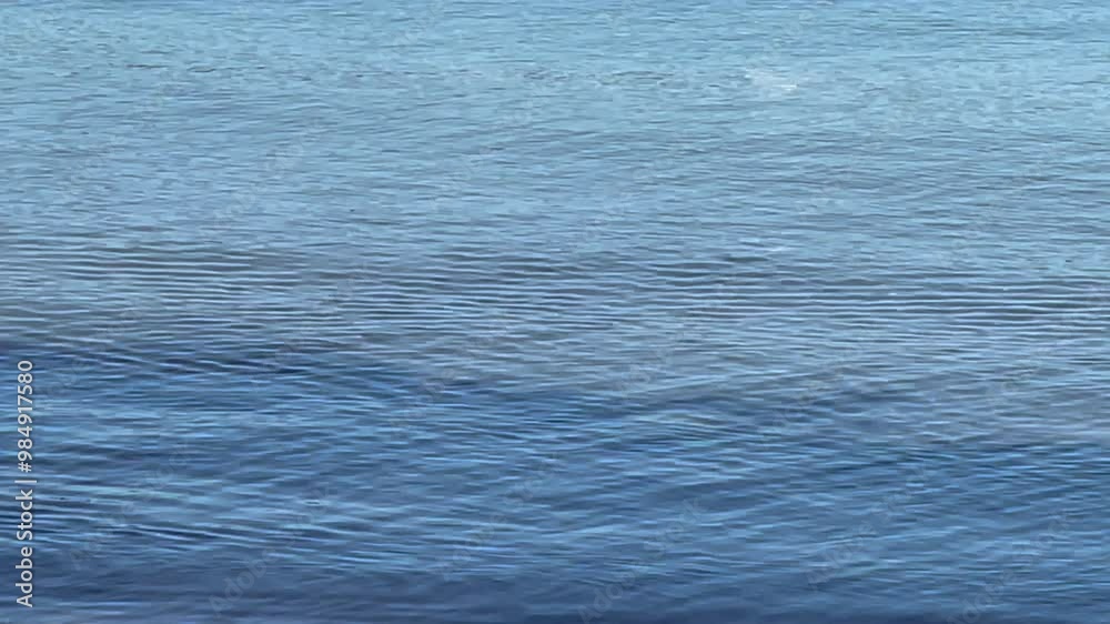 Background. Calm sea water surface Background. Calm sea water surface