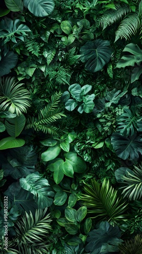 A lush, green wall of various leaves and plants, creating an enchanting backdrop for your product presentation. The texture is rich with shades of emerald to dark forest greens, providing a natural an