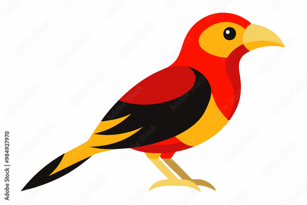 Obraz premium This is a vibrant vector artwork of a Red and Yellow Barbet bird, ideal for wildlife-themed designs, nature illustrations, and colorful digital projects.