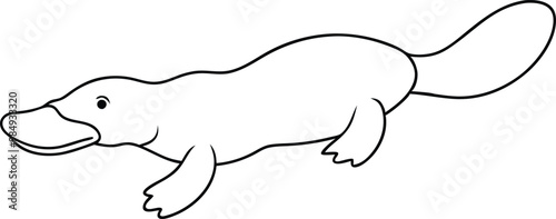 Platypus Splashes in Water Vector Art for Creative Kids Coloring
