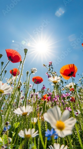 In the foreground, various wildflowers bloom in an open field under the bright sunshine. The sky is blue with white clouds, and there's some lens flare.