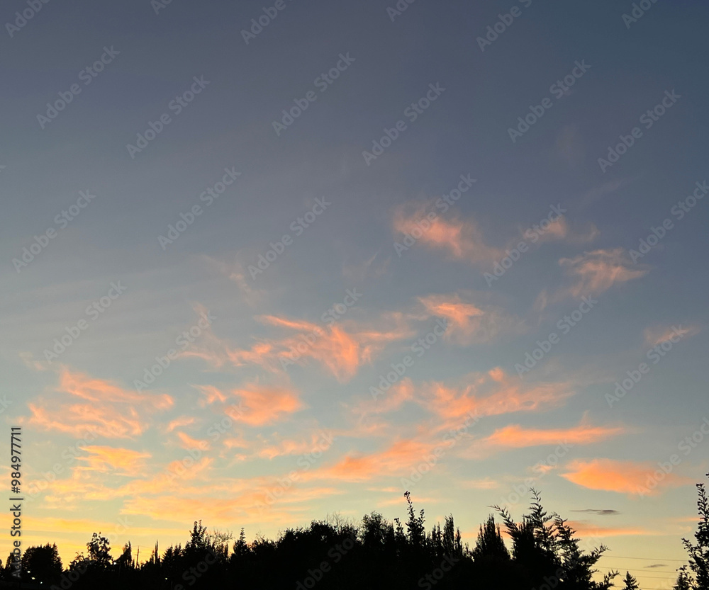 Obraz premium pink clouds in sky