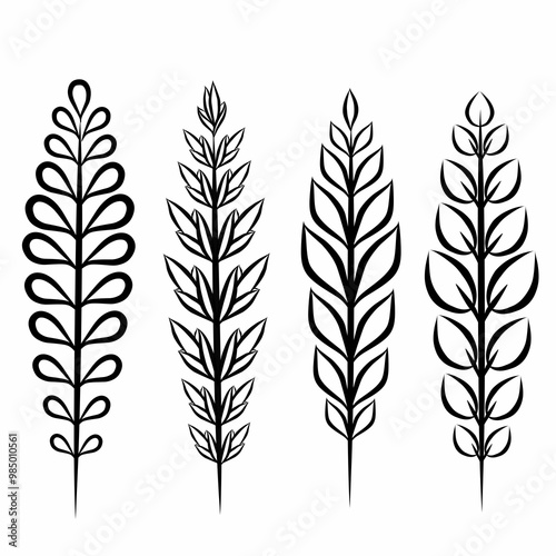 Minimalist botanical graphic sketch drawing, set of isolated floral elements vector illustration, line drawn black and white