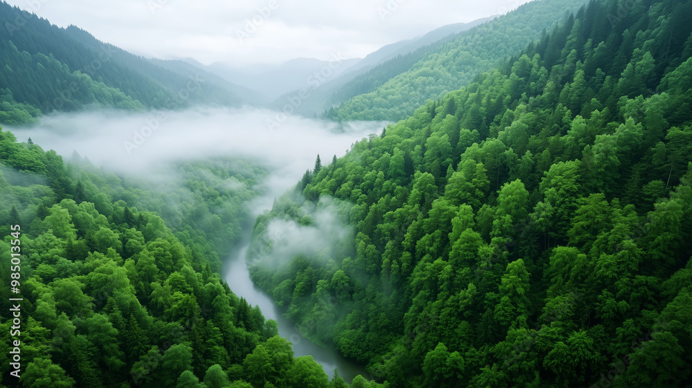 A lush green valley shrouded in mist, featuring rolling hills and a winding river amidst dense forestation. A lush green valley shrouded in mist, featuring rolling hills and a winding river amidst dense forestation.