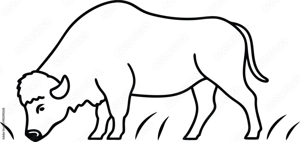 Obraz premium Wild Bison Grazing Vector Art for Nature Themed Designs 
