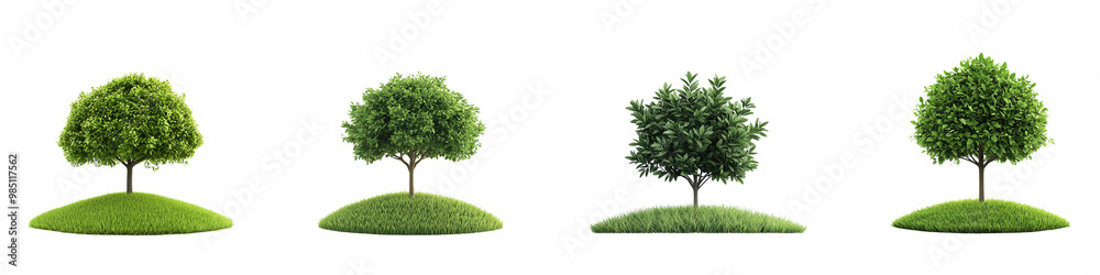 Fototapeta premium Four lush trees on green mounds, white isolate background. transparent background