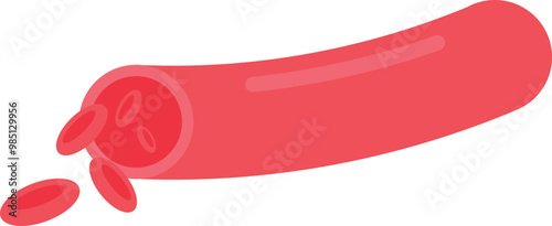 Blood Vessel with Red Blood Cells Symbol Icon