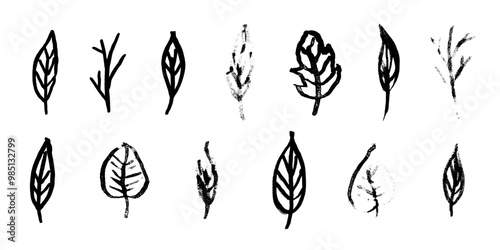 Set of black ink hand drawn simple sketch textured tree leaves and herb. Abstract grunge texture botanical elements for pattern design, greeting card decoration, logo print