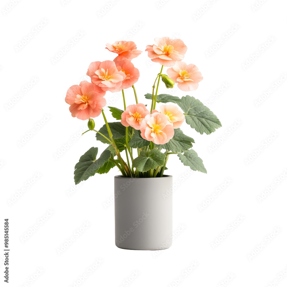 Pink Flowers in a Grey Pot Pink Flowers in a Grey Pot
