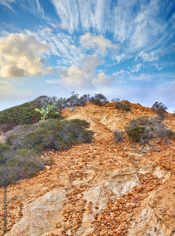 Obraz premium Conservation, environment and desert of mountain in nature for eco friendly sustainability. Earth, ecosystem or landscape with foliage and growth outdoor in natural habitat of location at California