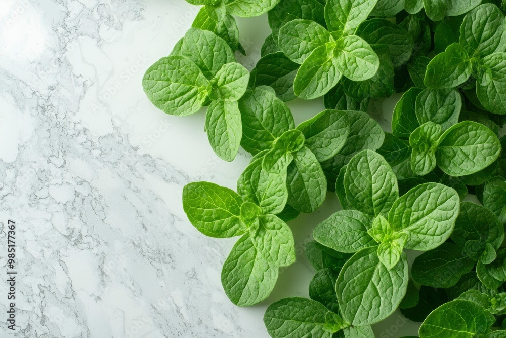 Fresh Green Mint Leaves on White Marble Background Fresh Green Mint Leaves on White Marble Background