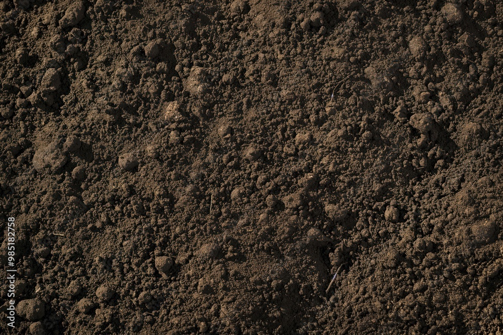 Top view of fertile soil with textured ground surface. Brown, dark colors, compost, humus, manure. Soil structure, pattern, ecological, environmental, eco-friendly, sustainable, natural, organic, Top view of fertile soil with textured ground surface. Brown, dark colors, compost, humus, manure. Soil structure, pattern, ecological, environmental, eco-friendly, sustainable, natural, organic,
