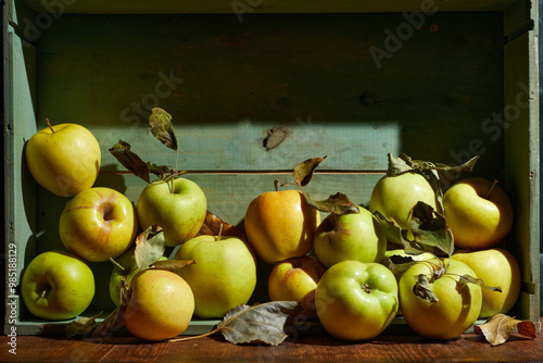 Ripe organic grown apples with leaves in wooden box in bright sunlight with copyspace. Natural fruit from garden concept image.