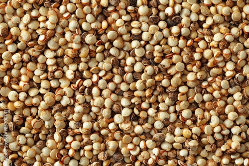 Close-up of Uncooked Red Quinoa Seeds photo