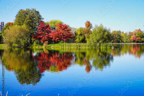 Scenic fall views with orange,yellow and red leaves on trees along the Dows Lake and Rideau Canal with bright blue skies in Ottawa,Ontario,Canada  photo