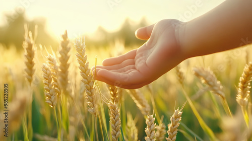 A child's hand gently touches golden wheat stalks in a sunlit field, capturing a serene moment of connection with nature.