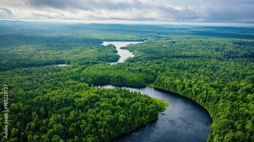 Aerial view of Algonquin park forest in Canada with green trees and a serene river. Lush foliage surrounds the tranquil lake Ontario. Scenic summer landscape with natural beauty and wildlife.