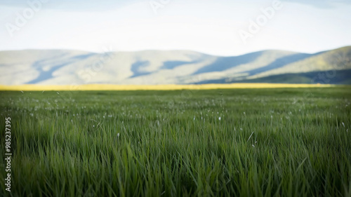 Beautiful Green Pastures and Rolling Hills. Peaceful Natural Landscape Background