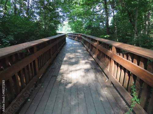 wooden bridge in the forest