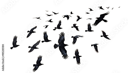  desert crows digital ghost flying painting illustration acrylic art artistic artwork illustration oil painting painting watercolor ghost horror smoke sorcerer ghostly silhouette daemon scarey