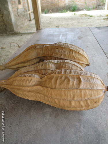 ceme vegetables that will be used as seeds for replanting photo