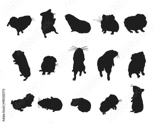 Cute guinea pig silhouette illustration, Small animal vector
