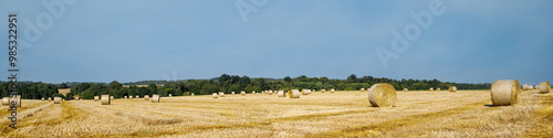 Strohballen auf einem Feld im Waldviertel Niederösterreich photo