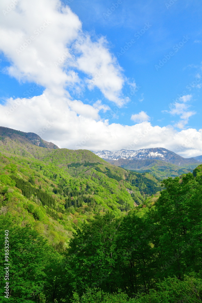 Fototapeta premium 新緑の秋山郷（新潟県）