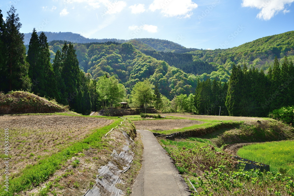 Fototapeta premium 蛇淵の滝への道（新潟県）