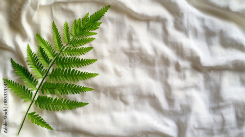 vibrant green fern leaf rests elegantly on textured white fabric background, creating serene and natural composition that evokes sense of calm and freshness