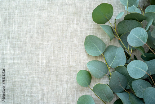 Fresh eucalyptus sprigs arranged elegantly on textured background, showcasing their vibrant green leaves and natural beauty. Perfect for botanical themes and decor