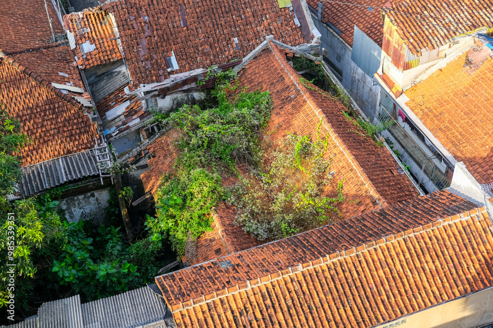 Residential houses in Java, Indonesia, with red-tiled roofs, lush greenery, and a cozy traditional atmosphere. Some roofs have overgrown plants, blending nature with urban living.