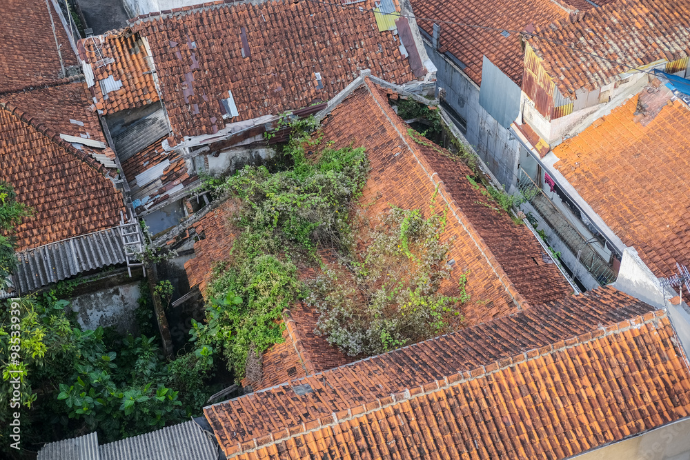 Residential houses in Java, Indonesia, with red-tiled roofs, lush greenery, and a cozy traditional atmosphere. Some roofs have overgrown plants, blending nature with urban living.